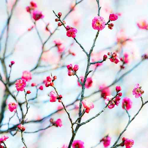  اینجا میدون تشنه انگیزس دغدغه ات شده چارتا خردسال